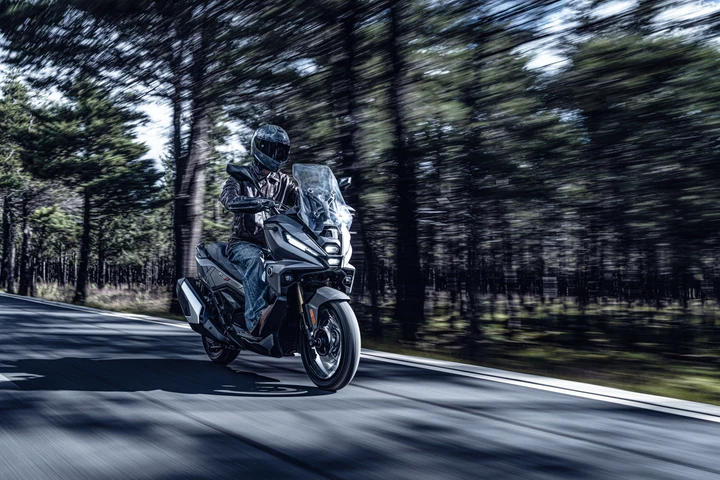 ingrandisci immagine