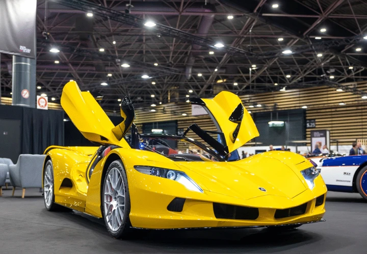 ingrandisci immagine