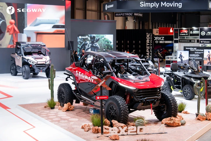 ingrandisci immagine