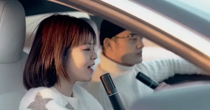 TeslaMic, Tesla vende anche microfoni per il karaoke in auto