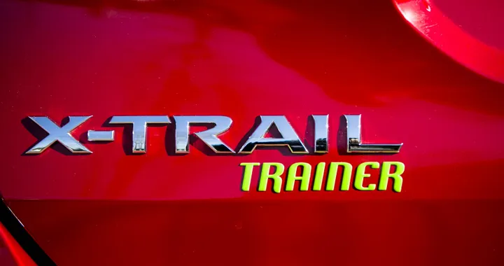 Da virale a reale: Trainer, il kit per i cani su X-Trail