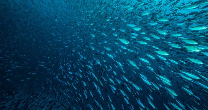Hyundai Mission to Blue, la sfida per salvare i nostri mari dall'inquinamento