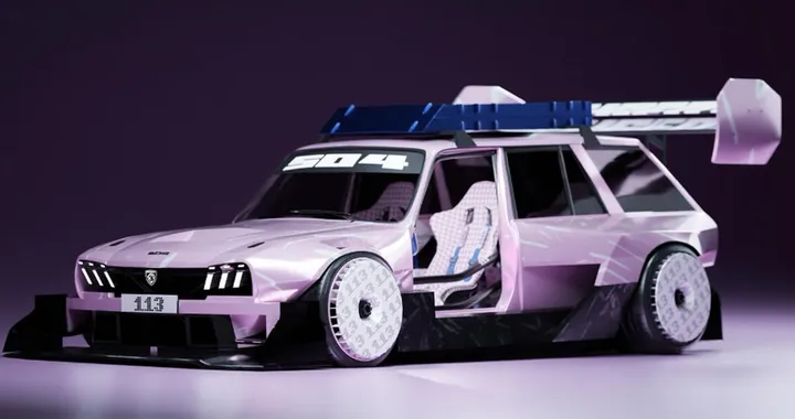 Peugeot 504 Break: un concept estremo per le corse in salita