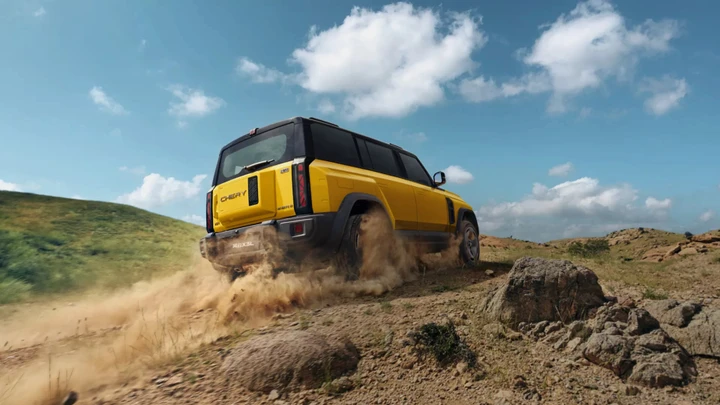 ingrandisci immagine