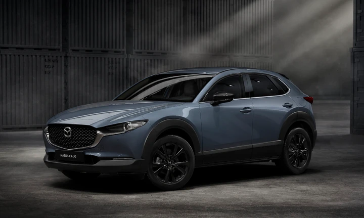 ingrandisci immagine