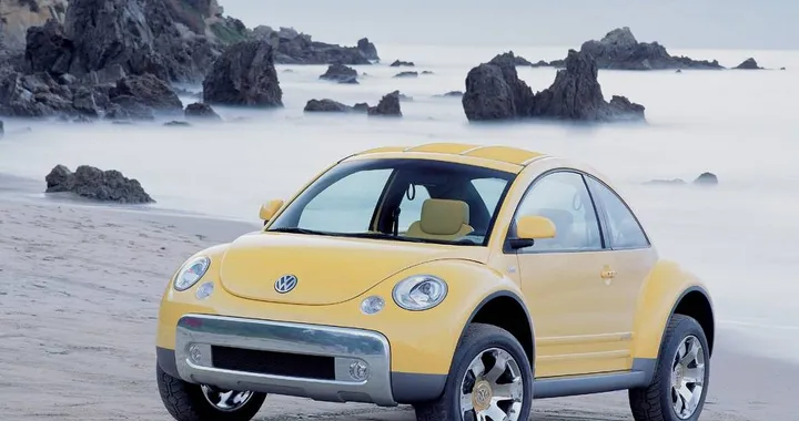 Volkswagen New Beetle Dune
