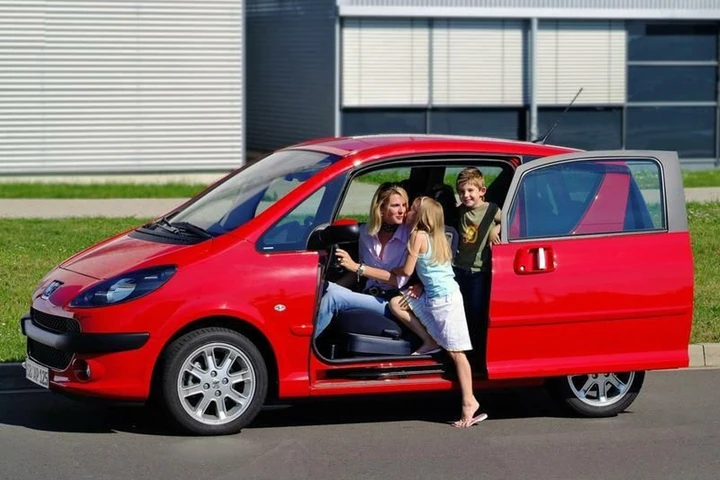 ingrandisci immagine