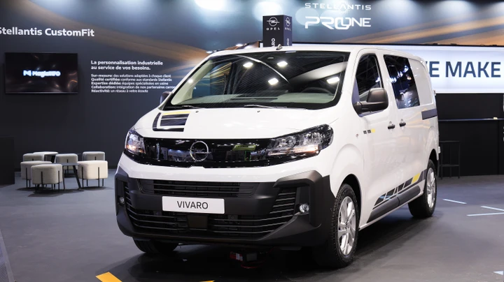 ingrandisci immagine