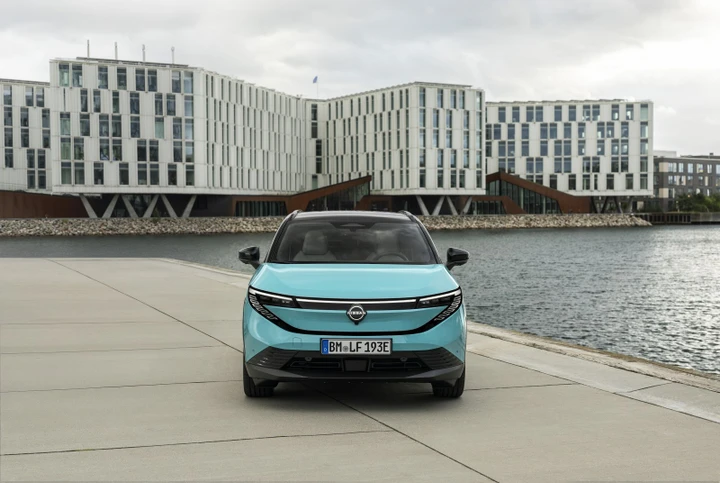 ingrandisci immagine