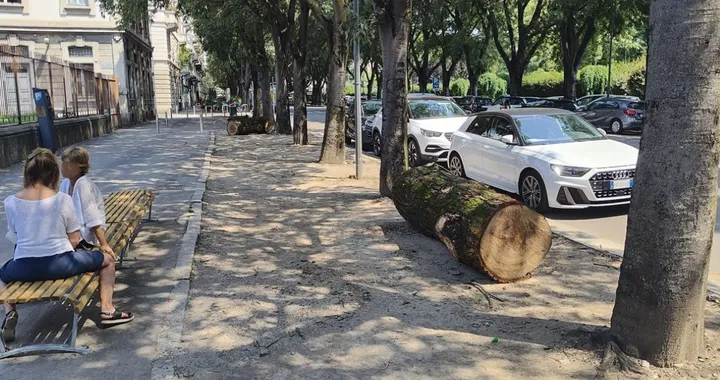 Milano, tronchi d’albero contro la sosta selvaggia