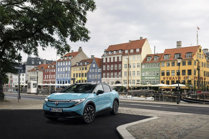 ingrandisci immagine