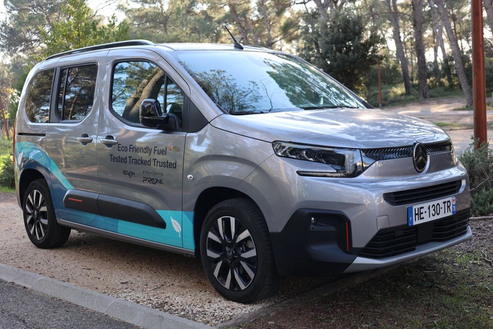 ingrandisci immagine