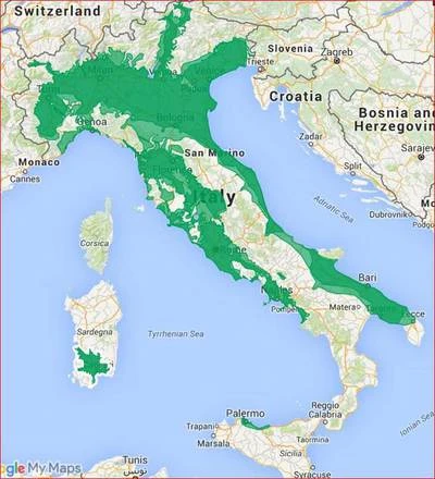 ingrandisci immagine