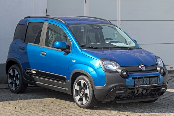 ingrandisci immagine