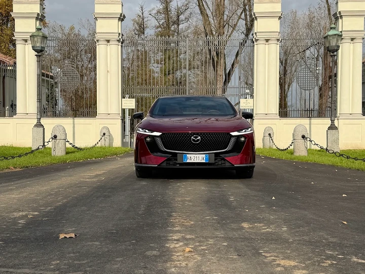 ingrandisci immagine