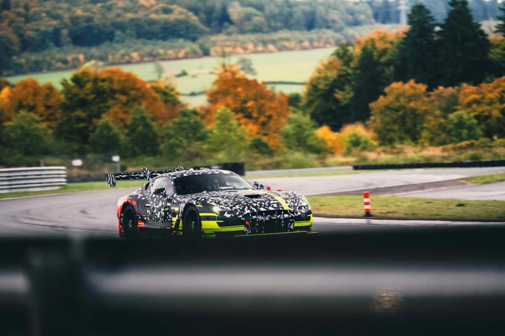 ingrandisci immagine