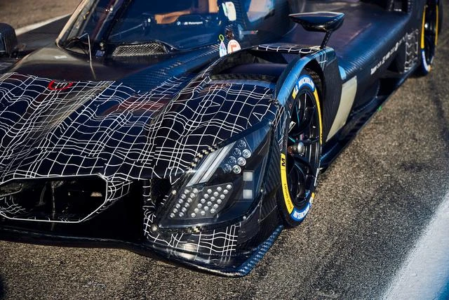 ingrandisci immagine