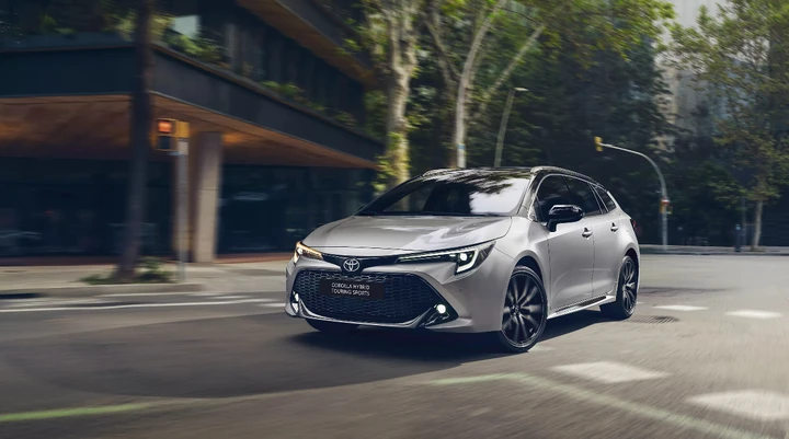 ingrandisci immagine