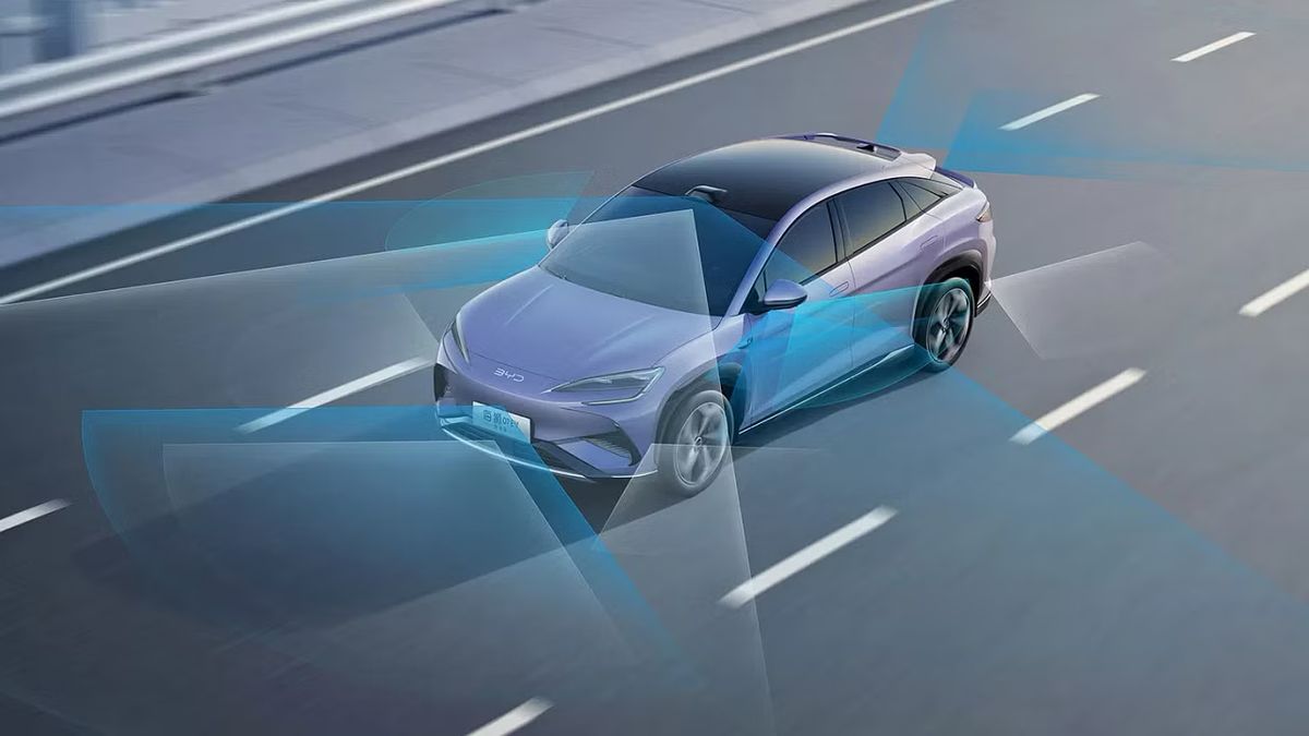 Anteprima: BYD pagherà per gli incidenti causati dal suo FSD: così sfida Tesla