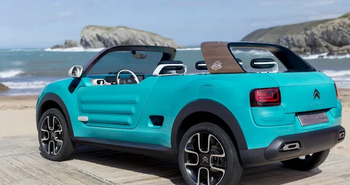 Citroen Cactus M Concept - foto