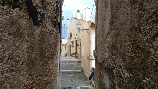 ingrandisci immagine