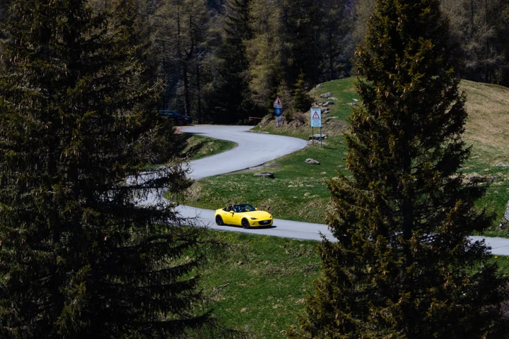 ingrandisci immagine
