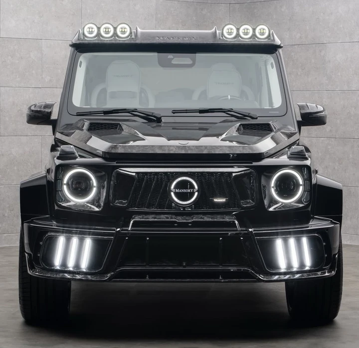 ingrandisci immagine