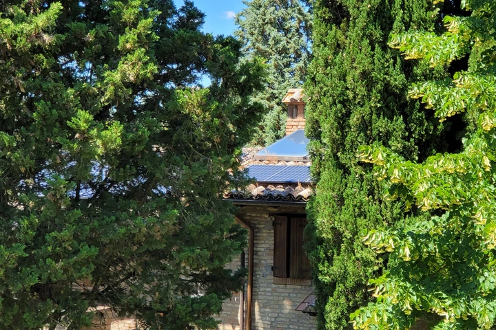 ingrandisci immagine