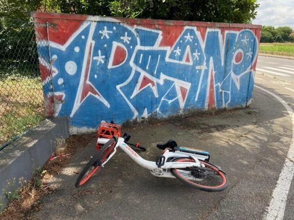ingrandisci immagine
