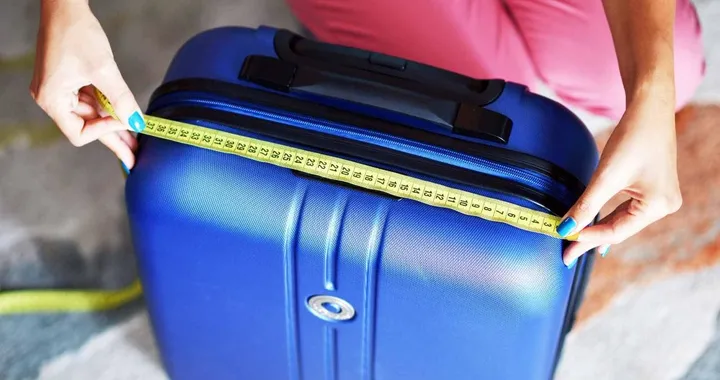 Ryanair e Wizzair contro l'Antitrust per il bagaglio a mano, TAR Lazio annulla multa