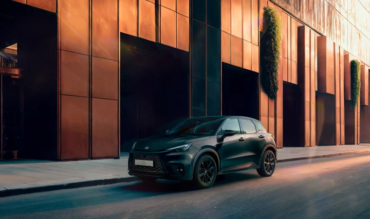 ingrandisci immagine