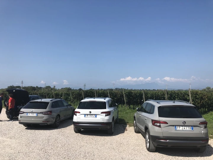 ingrandisci immagine