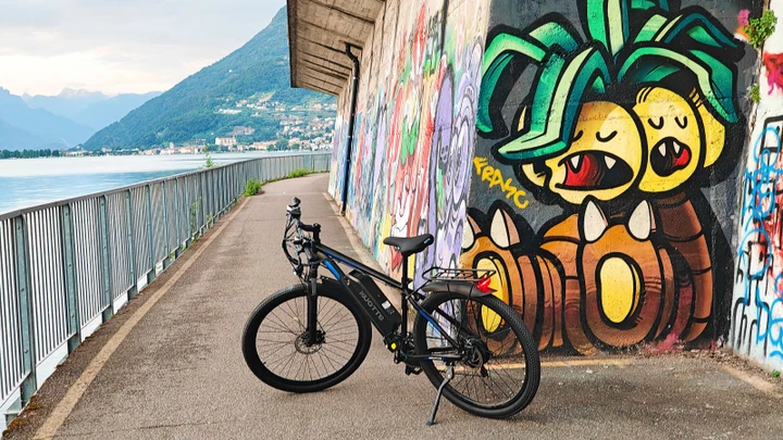 ingrandisci immagine