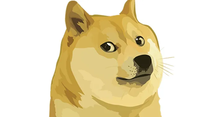 Tesla, nel suo shop online si paga anche con i Dogecoin