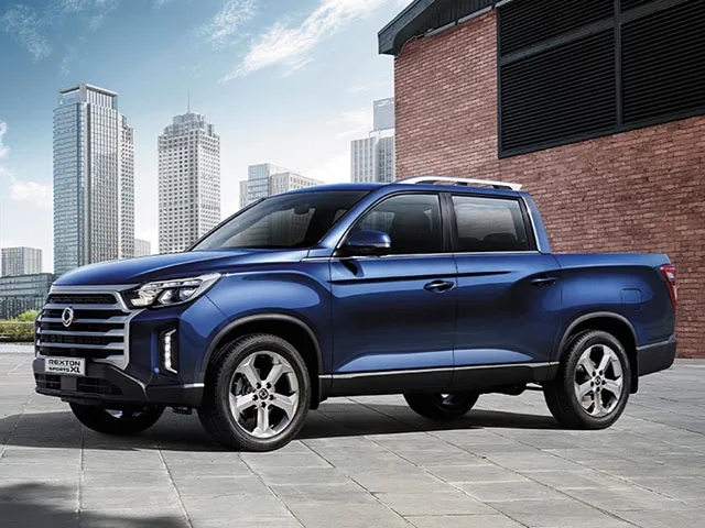Rexton Sports XL