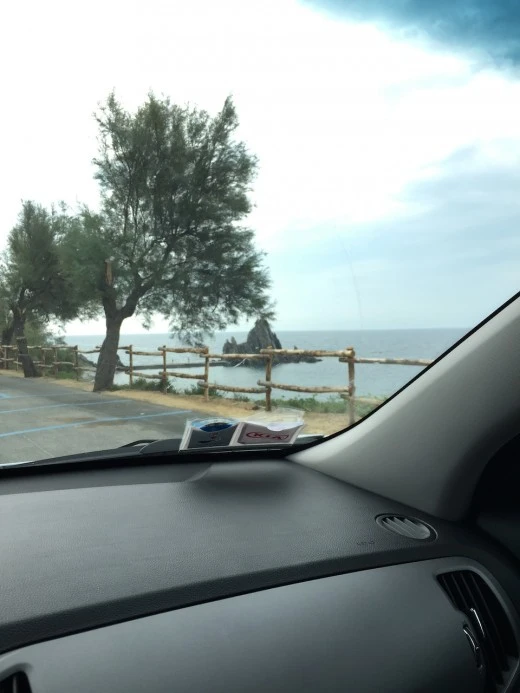 ingrandisci immagine