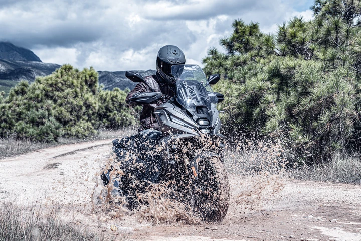 ingrandisci immagine