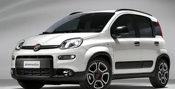  Panda