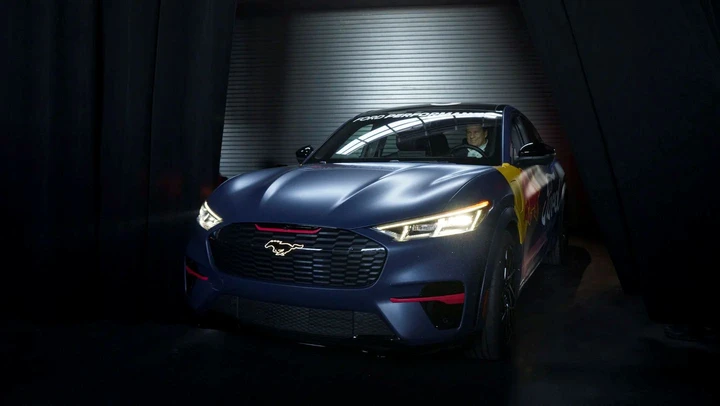 ingrandisci immagine