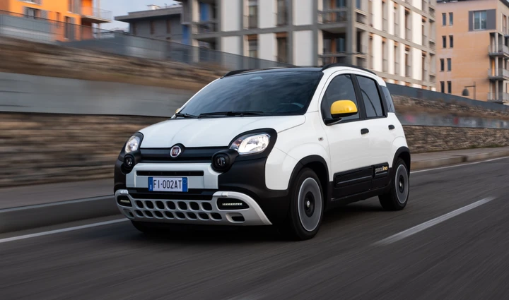 ingrandisci immagine