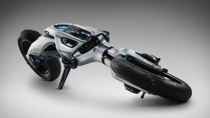 ingrandisci immagine