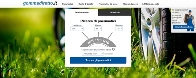 ingrandisci immagine