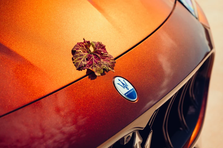 ingrandisci immagine