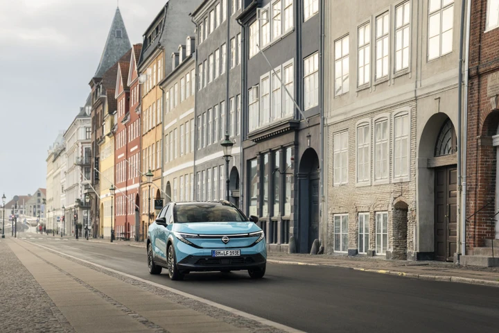 ingrandisci immagine