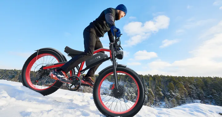 DUOTTS N26, fat bike elettrica per l'off-road con doppio motore