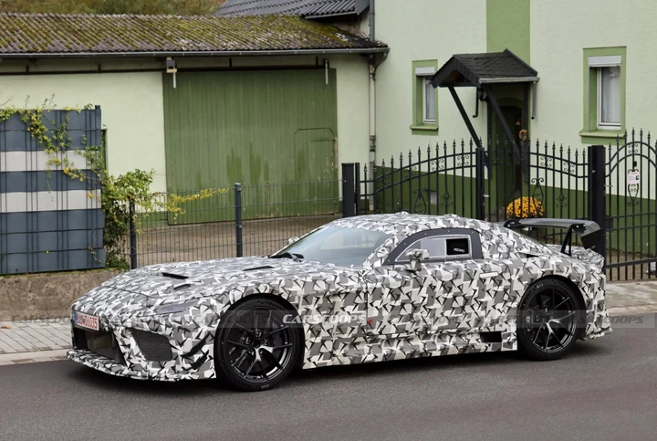 ingrandisci immagine