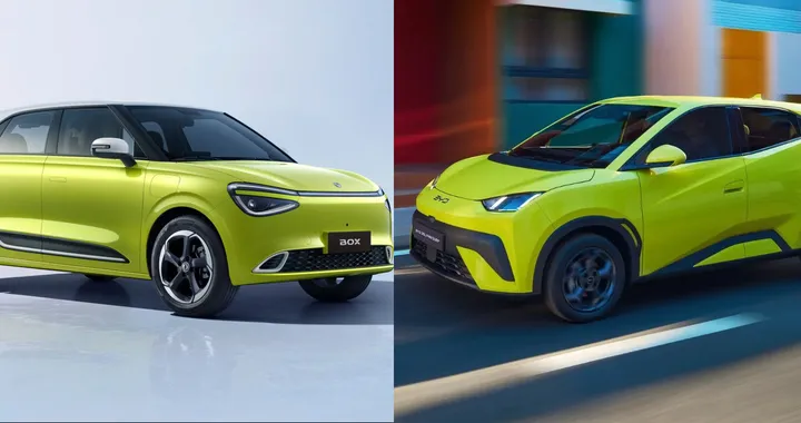 Dongfeng Box vs BYD Dolphin Surf, confronto tra city car elettriche cinesi: versioni e prezzi