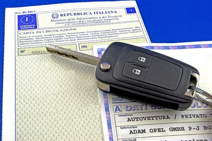 ingrandisci immagine