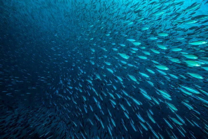 Hyundai Mission to Blue, la sfida per salvare i nostri mari dall'inquinamento