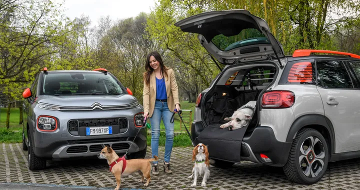 Citroen &quot;Pet à Porter&quot;, il comfort kit dedicato al cane